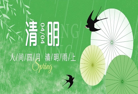 녹색 희생 혁신: 레이저 기술로 영원한 슬픔의 운반자가 되다